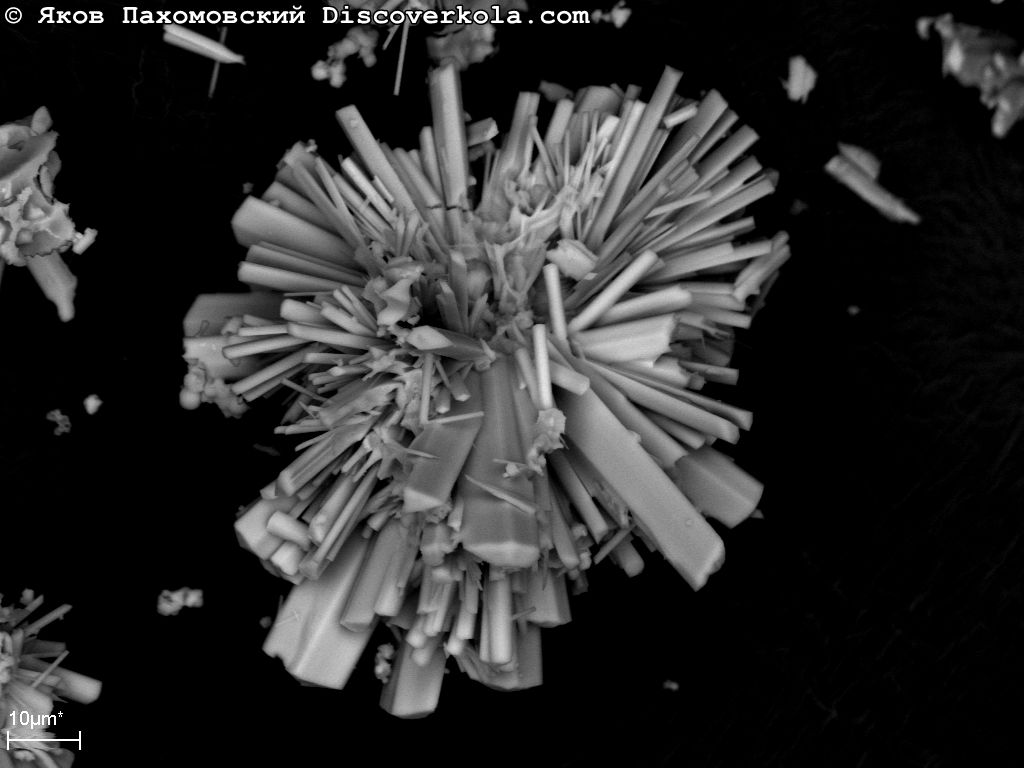 радиально-лучистые агрегаты призматических кристаллов NaNbO3 